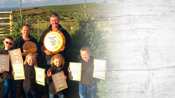 <span style="color:#bd251a;">Award Winning</span>
Christmas<br>Trees